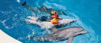 Dolphin therapy for ZPRD