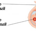 The sequence of sound production in speech therapy for children. Table, diagram 