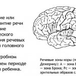 The sequence of sound production in speech therapy for children. Table, diagram 