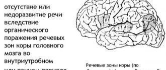 The sequence of sound production in speech therapy for children. Table, diagram 