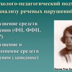 Психолого-педагогическая классификация речевых нарушений Р. Левиной