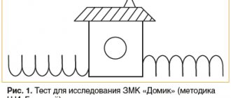 Рис. 1. Тест для исследования ЗМК «Домик» (методика Н.И. Гуткиной) Fig. 1. VMC testing “House” (by N.I. Gutkina)