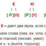 звуковой анализ слова язык